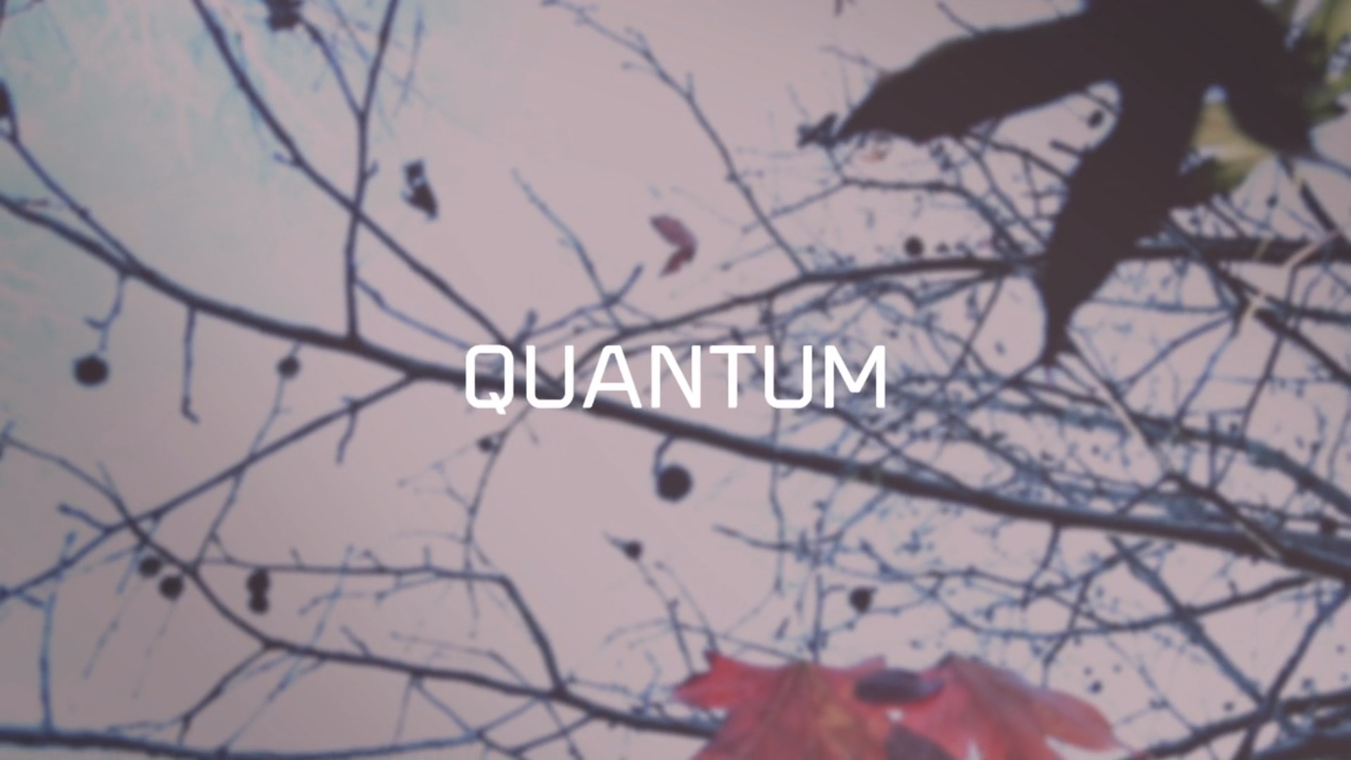 DELLANNO - Quantum