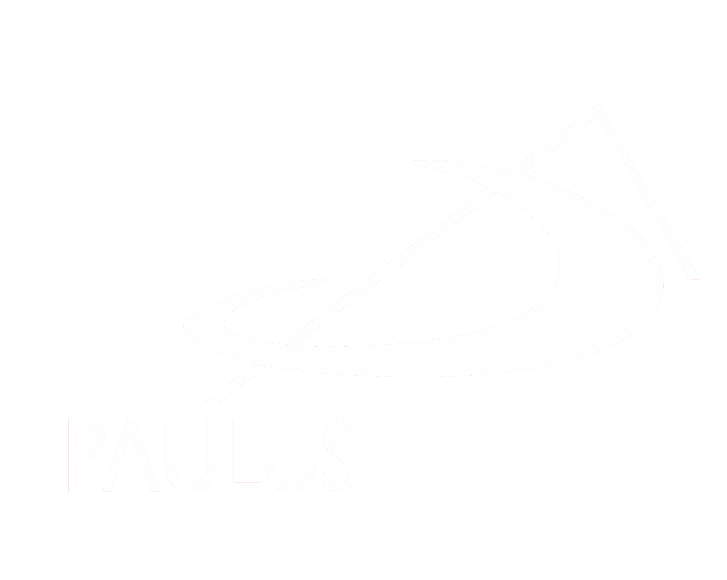 8 -Logo_Paulus2A